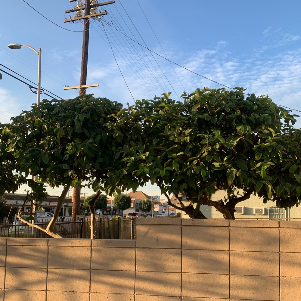 Meet your Posher, Connor